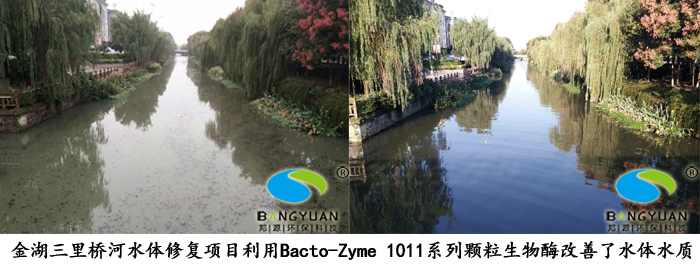 Bacto-Zyme 1011系列颗粒生物酶应用于项目效果图