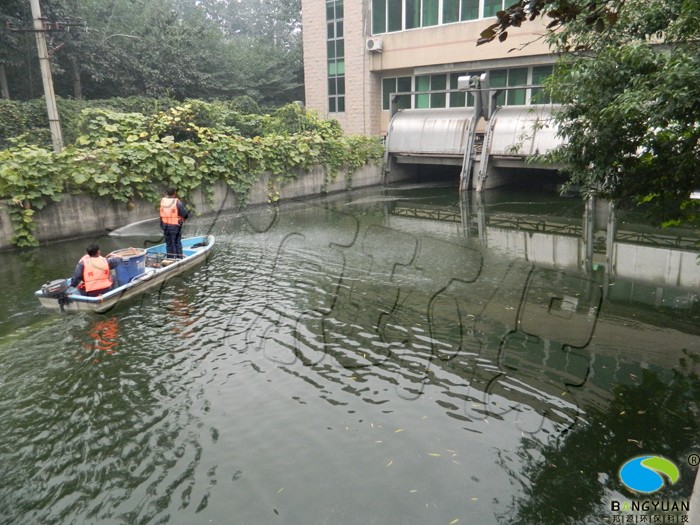 水华治理后，藻类消除，水体透明度大幅度提升