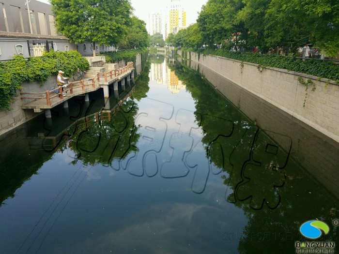 投加生物制剂后，水体表观得到恢复