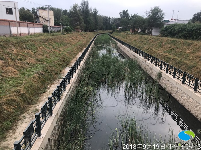 河道治理前，水质差，杂草丛生