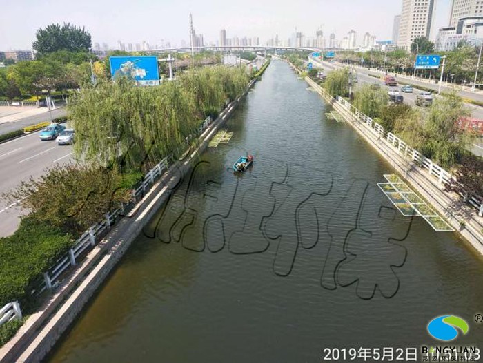 张贵庄河道水环境维护效果图