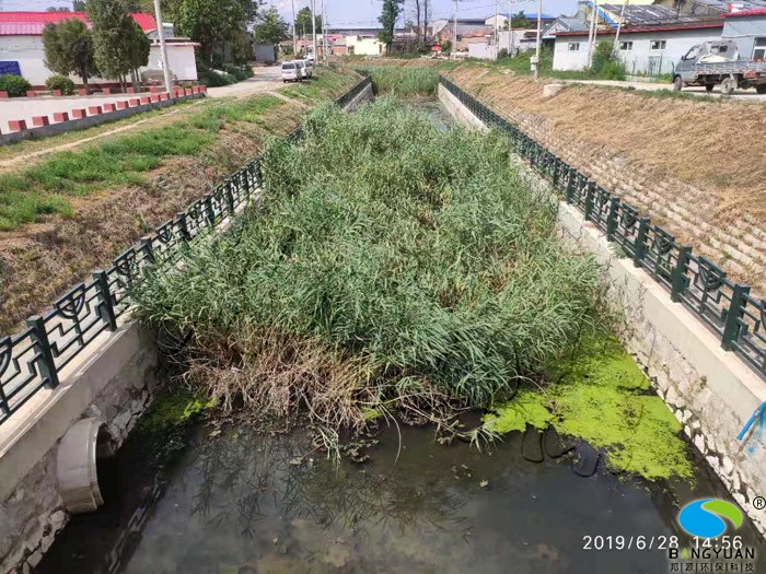 本项目治理前河道底泥淤积严重，水体中含氮、磷等营养盐较多，存在严重的富营养化问题