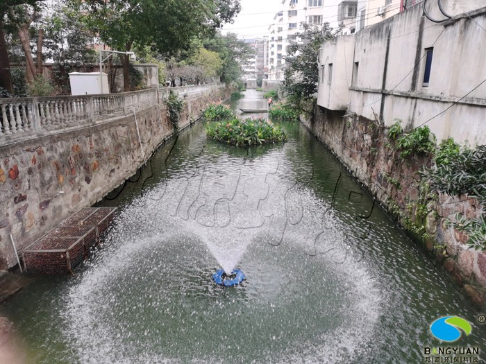 水质提升后效果图