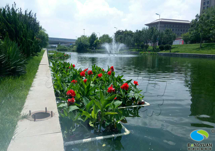 多种治理手段让河道蓝藻治理效果更好